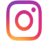 ig icon