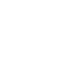 x icon